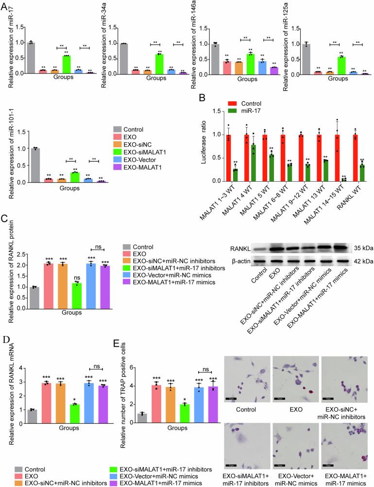 https://cdn.ncbi.nlm.nih.gov/pmc/blobs/d377/11446919/3f150a444cca/42003_2024_6918_Fig6_HTML.jpg