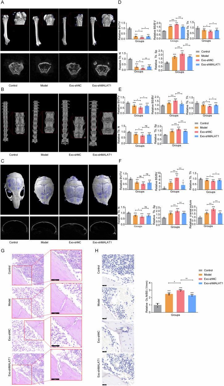 https://cdn.ncbi.nlm.nih.gov/pmc/blobs/d377/11446919/494cddb3d3e4/42003_2024_6918_Fig7_HTML.jpg