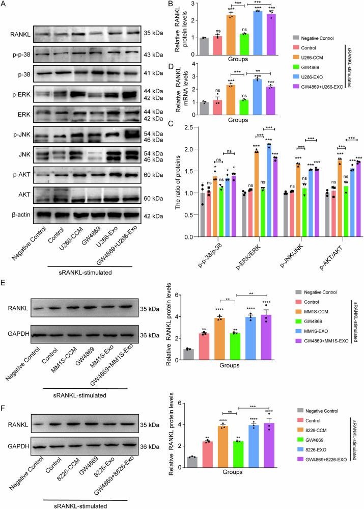 https://cdn.ncbi.nlm.nih.gov/pmc/blobs/d377/11446919/5118282d4c04/42003_2024_6918_Fig2_HTML.jpg