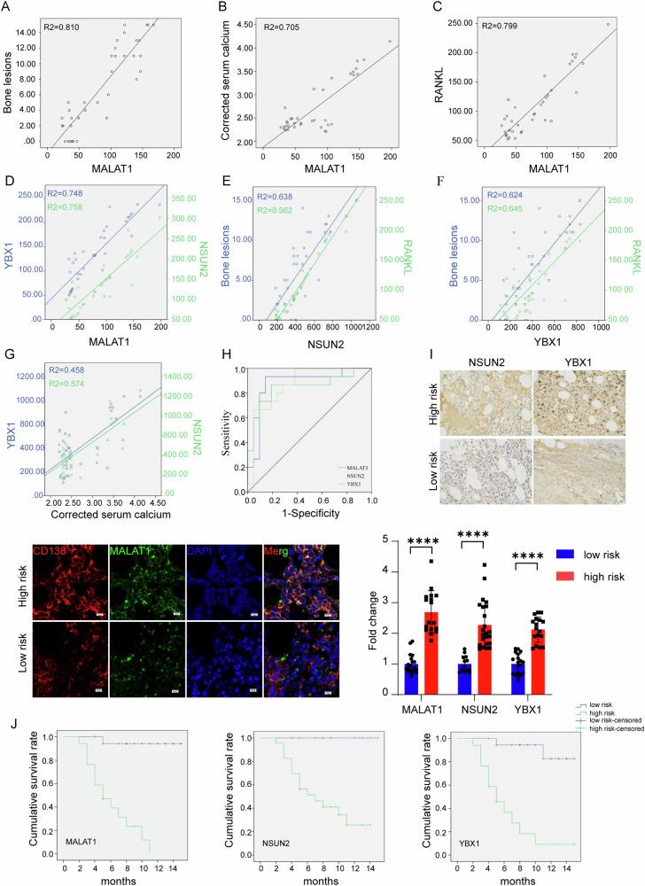 https://cdn.ncbi.nlm.nih.gov/pmc/blobs/d377/11446919/791417035eef/42003_2024_6918_Fig5_HTML.jpg