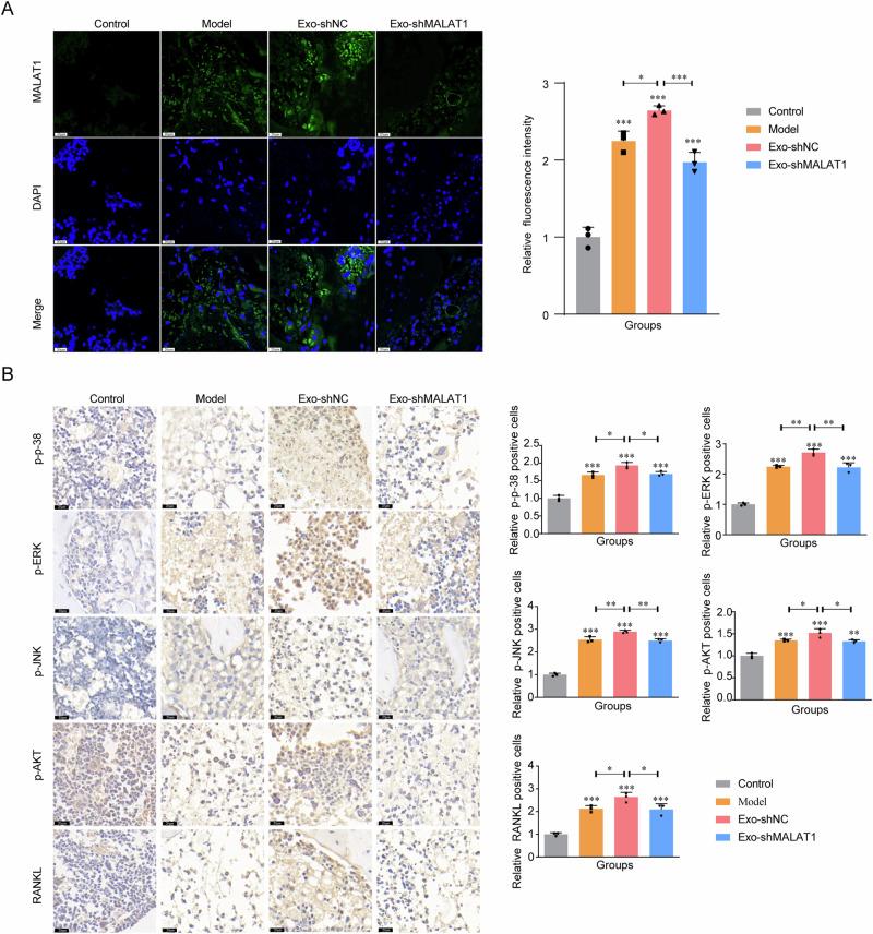 https://cdn.ncbi.nlm.nih.gov/pmc/blobs/d377/11446919/884036de66df/42003_2024_6918_Fig8_HTML.jpg