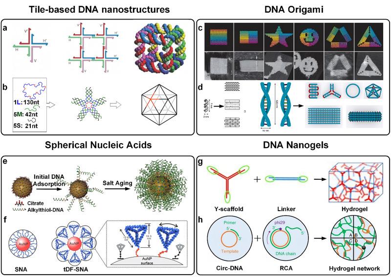 https://cdn.ncbi.nlm.nih.gov/pmc/blobs/d377/12203123/850cdbe4c572/d5cb00057b-f2.jpg