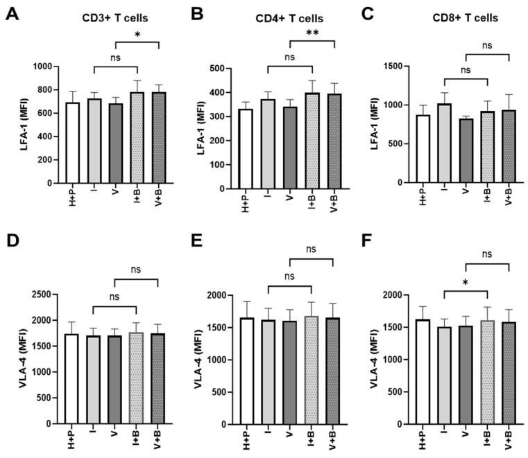 https://cdn.ncbi.nlm.nih.gov/pmc/blobs/d378/12250103/445e80191901/ijms-26-06280-g006.jpg