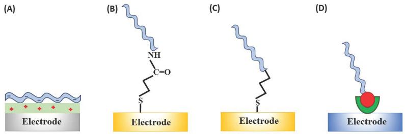 https://cdn.ncbi.nlm.nih.gov/pmc/blobs/d37a/7866130/39bc3413c556/sensors-21-00736-g003.jpg