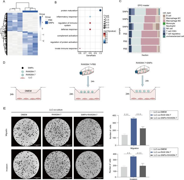 https://cdn.ncbi.nlm.nih.gov/pmc/blobs/d37c/11537155/4988bda226bf/IJN-19-11087-g0005.jpg