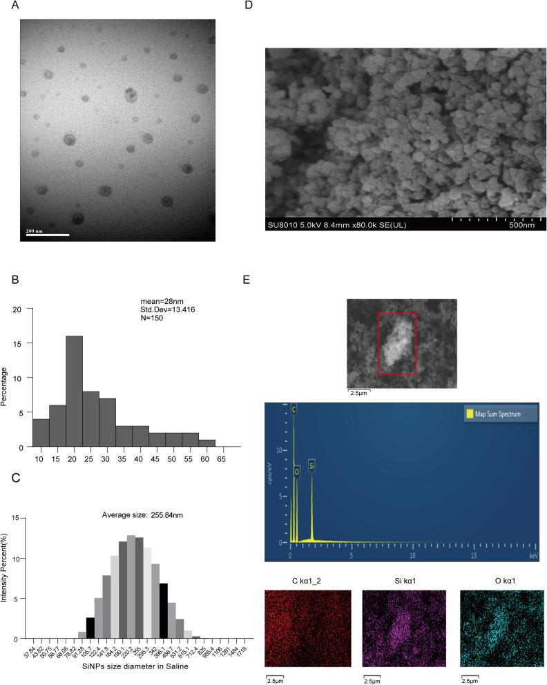 https://cdn.ncbi.nlm.nih.gov/pmc/blobs/d37c/11537155/d230699a73d9/IJN-19-11087-g0002.jpg