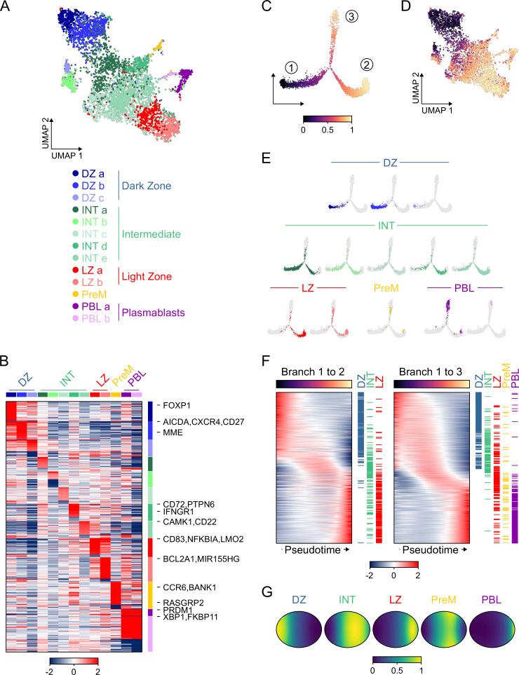 https://cdn.ncbi.nlm.nih.gov/pmc/blobs/d37c/7537389/1dedcfa0a7da/JEM_20200483_Fig2.jpg