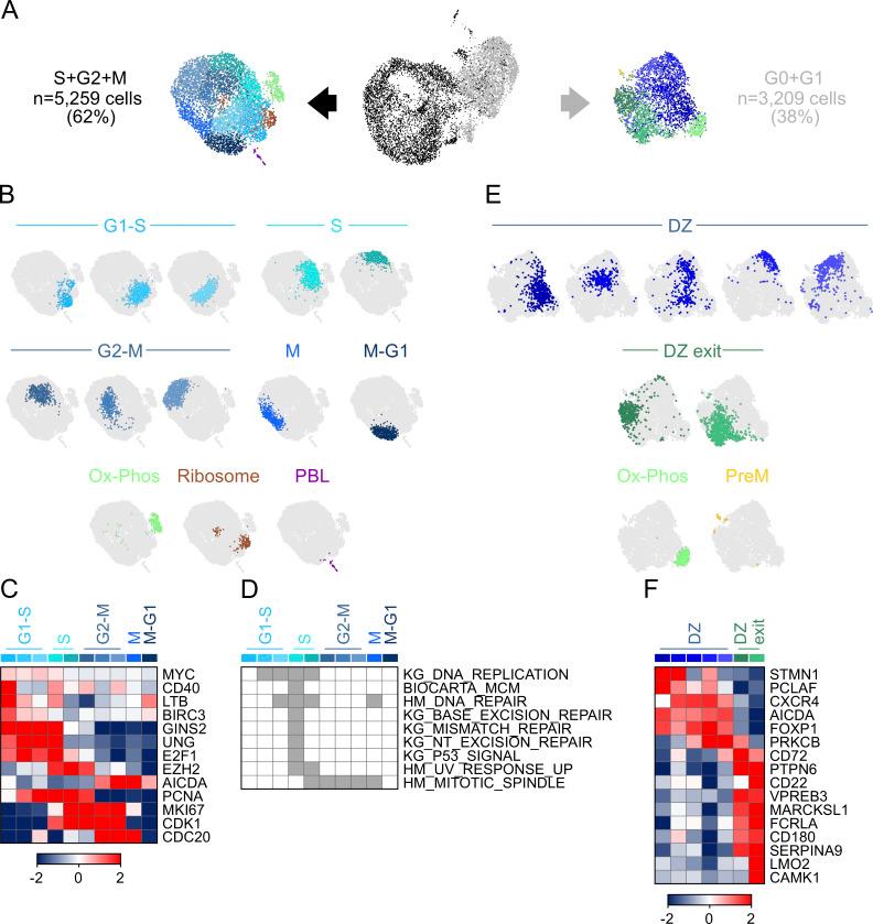 https://cdn.ncbi.nlm.nih.gov/pmc/blobs/d37c/7537389/5f1bbfdc76ee/JEM_20200483_Fig3.jpg
