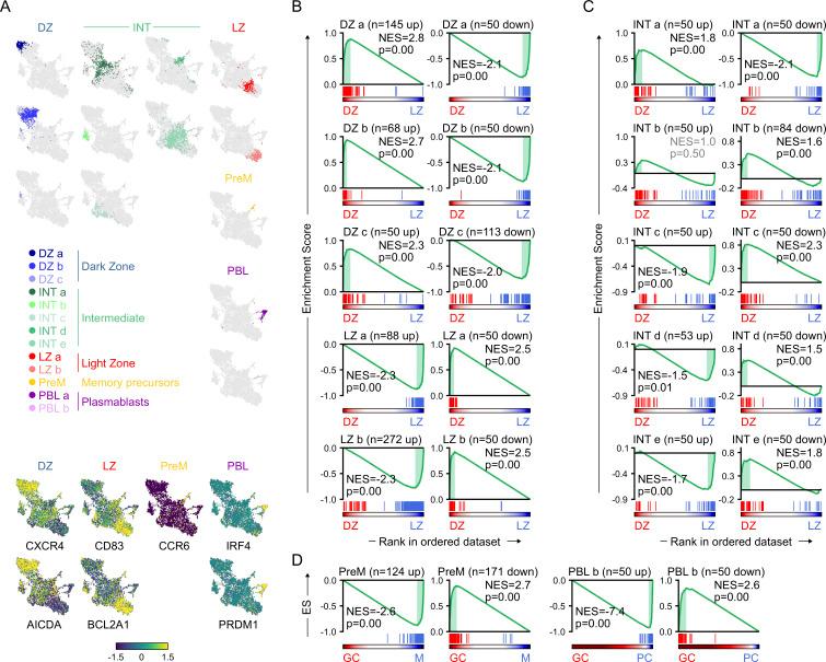 https://cdn.ncbi.nlm.nih.gov/pmc/blobs/d37c/7537389/9cb0b8fe8ac7/JEM_20200483_FigS2.jpg