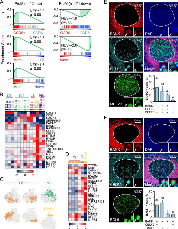 https://cdn.ncbi.nlm.nih.gov/pmc/blobs/d37c/7537389/c7bde76a4d3e/JEM_20200483_Fig5.jpg