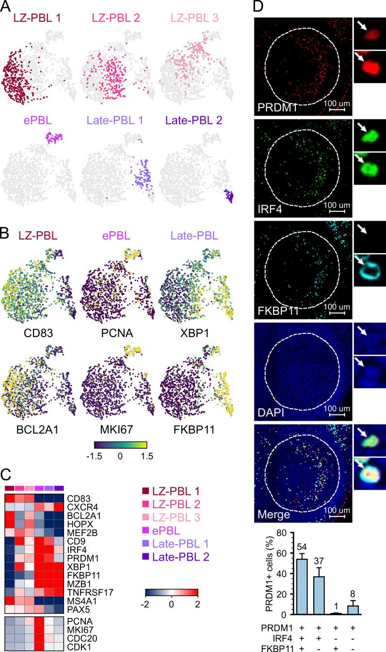 https://cdn.ncbi.nlm.nih.gov/pmc/blobs/d37c/7537389/c9248a578704/JEM_20200483_Fig6.jpg