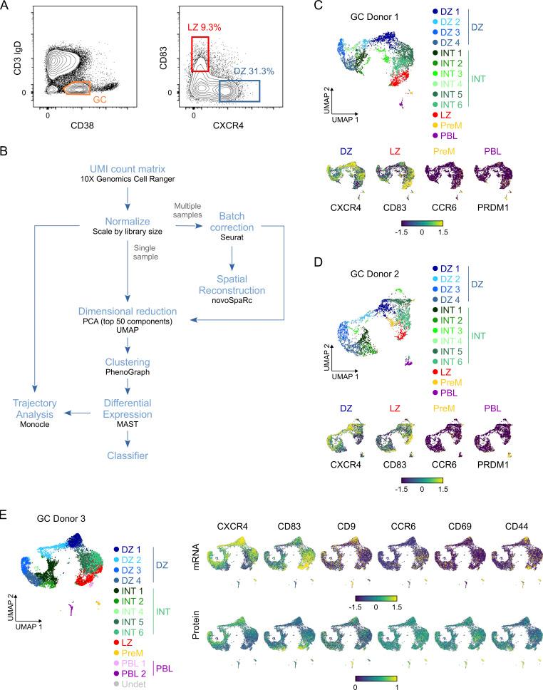 https://cdn.ncbi.nlm.nih.gov/pmc/blobs/d37c/7537389/eab9eb468962/JEM_20200483_FigS1.jpg