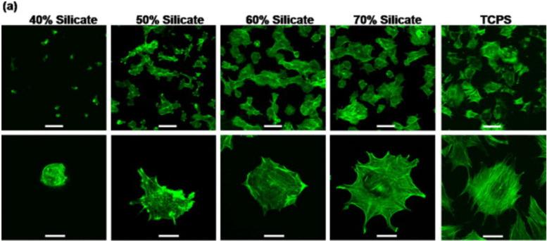 https://cdn.ncbi.nlm.nih.gov/pmc/blobs/d37c/9577303/1aeaa6e2d3c4/d2ma00528j-f12.jpg