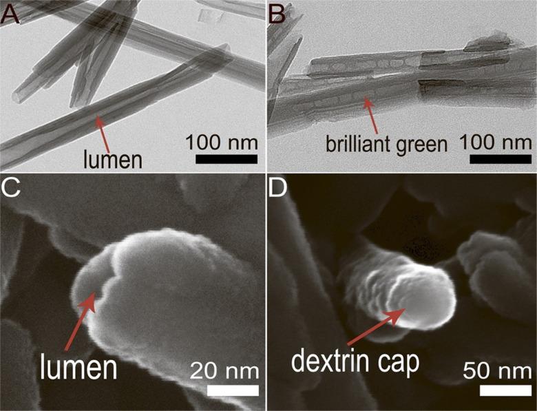 https://cdn.ncbi.nlm.nih.gov/pmc/blobs/d37c/9577303/2a03462297a7/d2ma00528j-f8.jpg