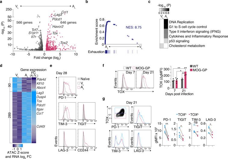 https://cdn.ncbi.nlm.nih.gov/pmc/blobs/d37e/7881115/ea4f89b297cd/41467_2021_21109_Fig2_HTML.jpg