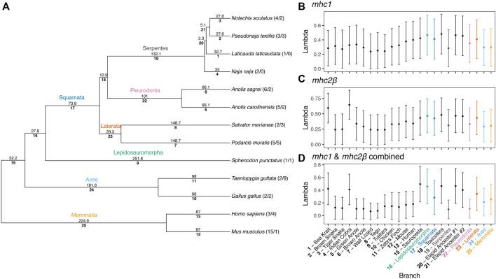 https://cdn.ncbi.nlm.nih.gov/pmc/blobs/d380/9679377/c7f9259daa1a/fgene-13-979746-g009.jpg