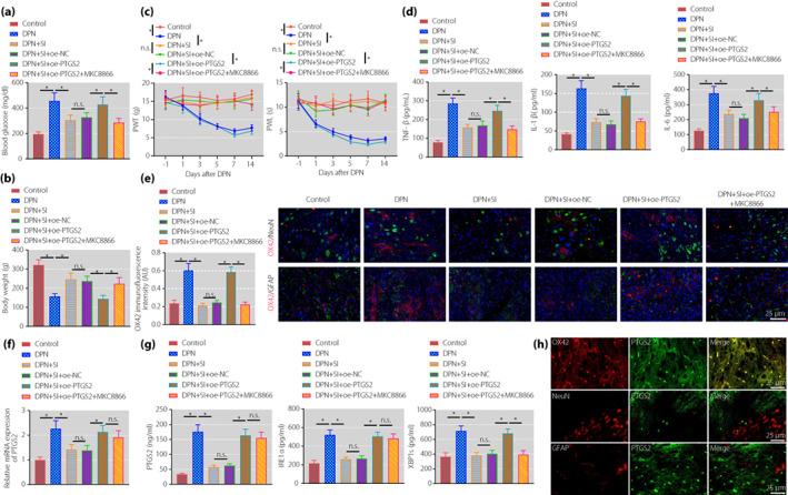 https://cdn.ncbi.nlm.nih.gov/pmc/blobs/d380/9951574/142dd5b5ad6a/JDI-14-364-g002.jpg