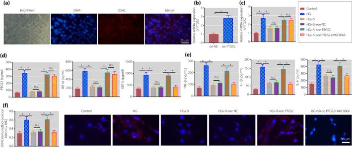 https://cdn.ncbi.nlm.nih.gov/pmc/blobs/d380/9951574/a26a7c1a43d9/JDI-14-364-g007.jpg