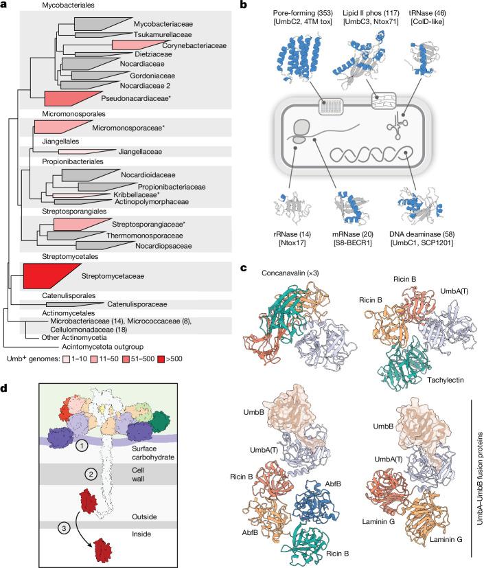 https://cdn.ncbi.nlm.nih.gov/pmc/blobs/d382/11062931/24c04a4b02cd/41586_2024_7298_Fig5_HTML.jpg
