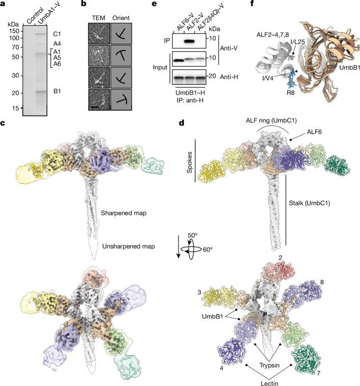 https://cdn.ncbi.nlm.nih.gov/pmc/blobs/d382/11062931/d2130a646d4f/41586_2024_7298_Fig3_HTML.jpg
