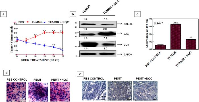 https://cdn.ncbi.nlm.nih.gov/pmc/blobs/d383/4742869/03ceb7b82e80/srep20600-f9.jpg