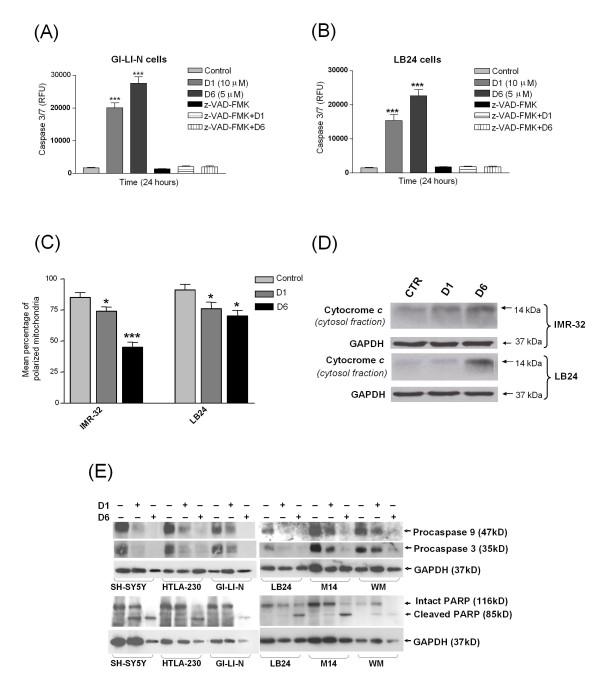 https://cdn.ncbi.nlm.nih.gov/pmc/blobs/d38f/2898702/a9c1d1976f93/1476-4598-9-137-5.jpg