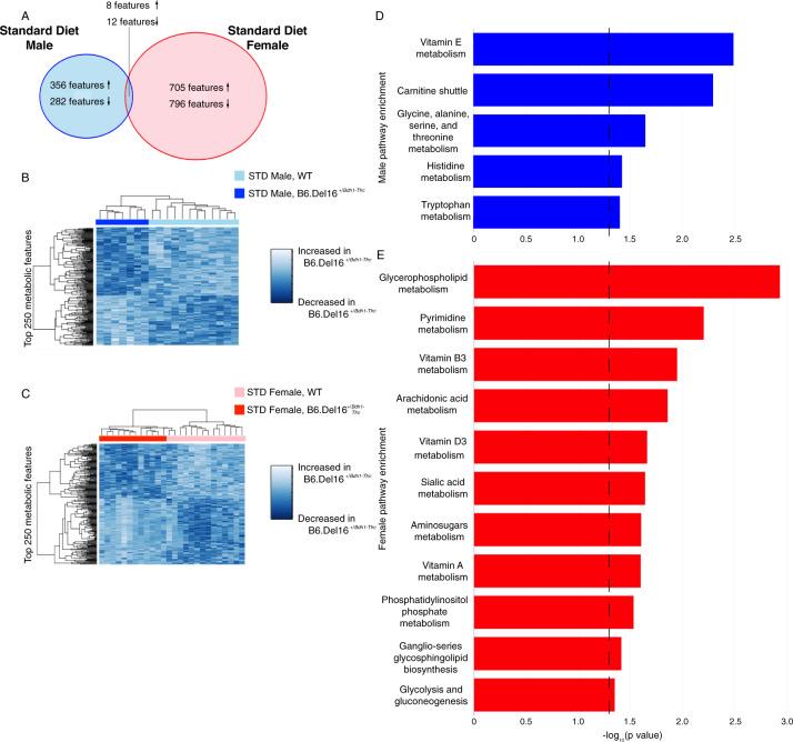 https://cdn.ncbi.nlm.nih.gov/pmc/blobs/d392/8854723/5bf8bace17e5/41398_2022_1824_Fig3_HTML.jpg