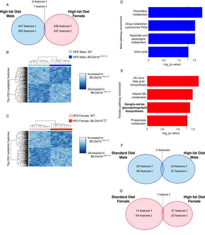 https://cdn.ncbi.nlm.nih.gov/pmc/blobs/d392/8854723/6eee45e1da97/41398_2022_1824_Fig5_HTML.jpg