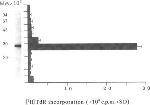 https://cdn.ncbi.nlm.nih.gov/pmc/blobs/d393/1364010/6876fa11dba2/immunology00056-0089-a.jpg