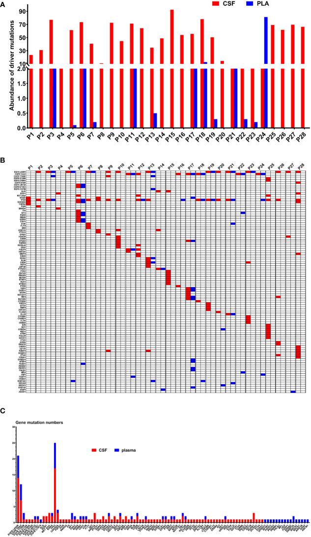 https://cdn.ncbi.nlm.nih.gov/pmc/blobs/d395/10806520/b53e06ec3542/fonc-13-1322635-g004.jpg