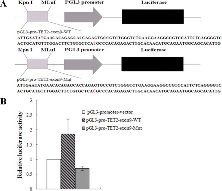 https://cdn.ncbi.nlm.nih.gov/pmc/blobs/d395/4891059/ccf9bb9106ed/oncotarget-07-9550-g004.jpg