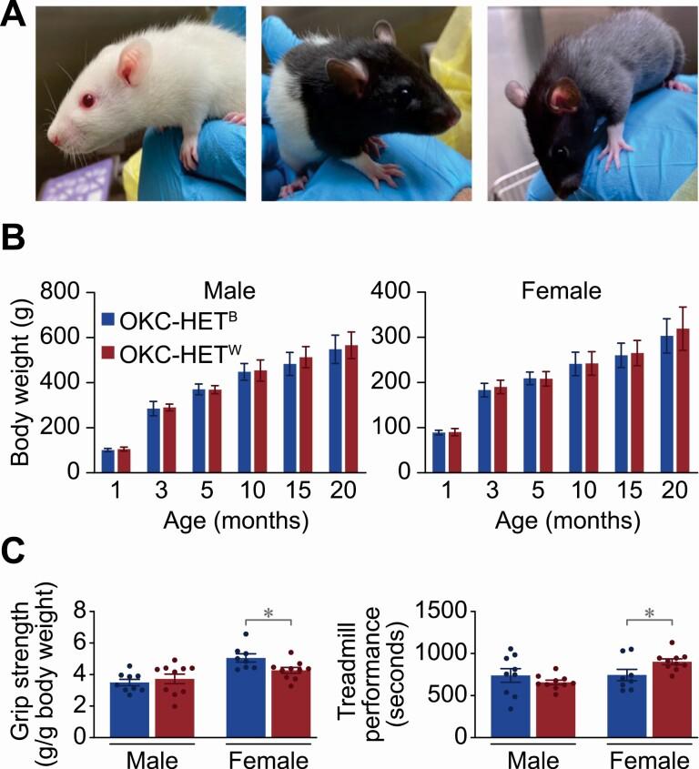 https://cdn.ncbi.nlm.nih.gov/pmc/blobs/d396/10172978/789a42ce24d3/glad056_fig2.jpg