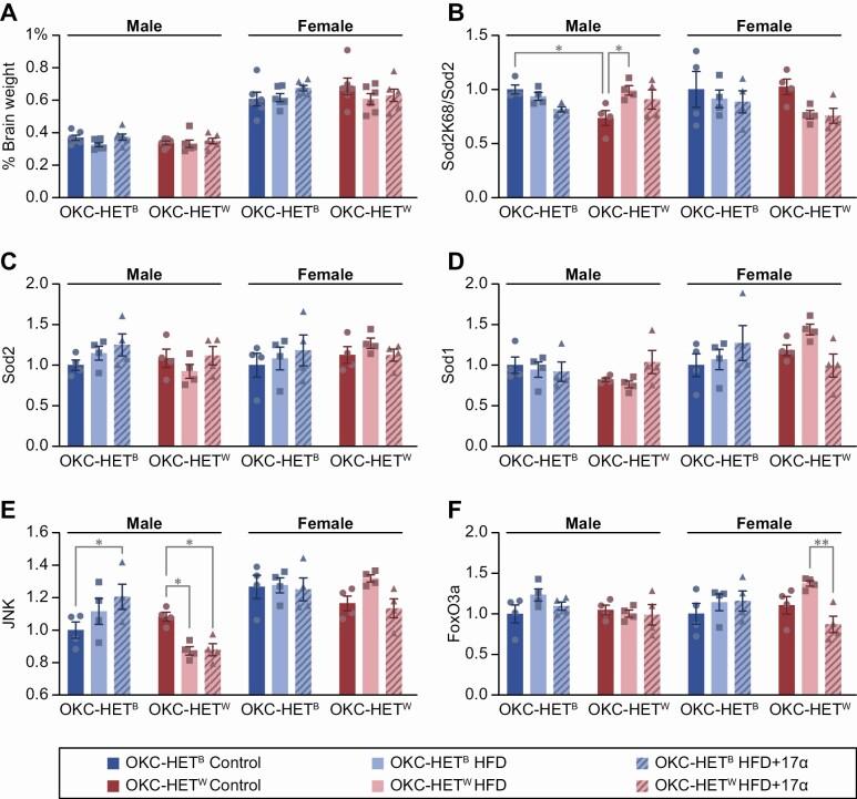 https://cdn.ncbi.nlm.nih.gov/pmc/blobs/d396/10172978/c27005069f05/glad056_fig5.jpg