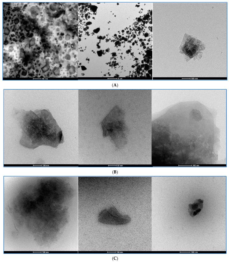 https://cdn.ncbi.nlm.nih.gov/pmc/blobs/d396/10610486/6b7689bec84d/pharmaceutics-15-02495-g014.jpg