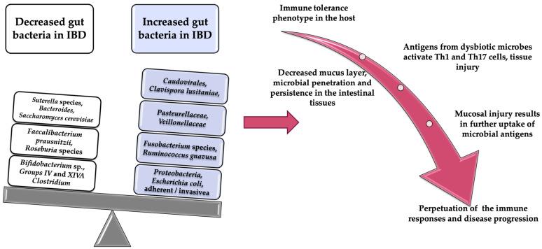 https://cdn.ncbi.nlm.nih.gov/pmc/blobs/d396/8232187/925b72782ab6/diagnostics-11-01090-g001.jpg