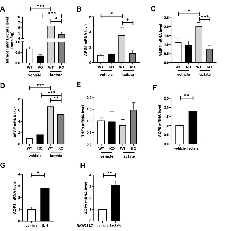https://cdn.ncbi.nlm.nih.gov/pmc/blobs/d396/9372591/2c8246c7d497/gr4.jpg