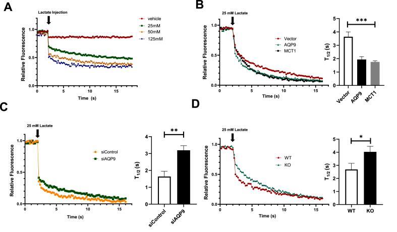 https://cdn.ncbi.nlm.nih.gov/pmc/blobs/d396/9372591/8544bb219ac5/gr5.jpg