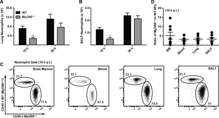 https://cdn.ncbi.nlm.nih.gov/pmc/blobs/d397/4306481/16ccdbb469c9/ppat.1004589.g002.jpg