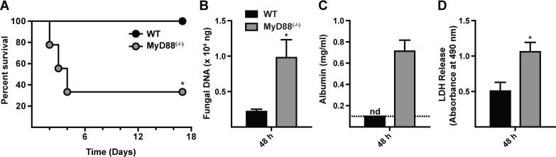 https://cdn.ncbi.nlm.nih.gov/pmc/blobs/d397/4306481/757a92a69f08/ppat.1004589.g001.jpg