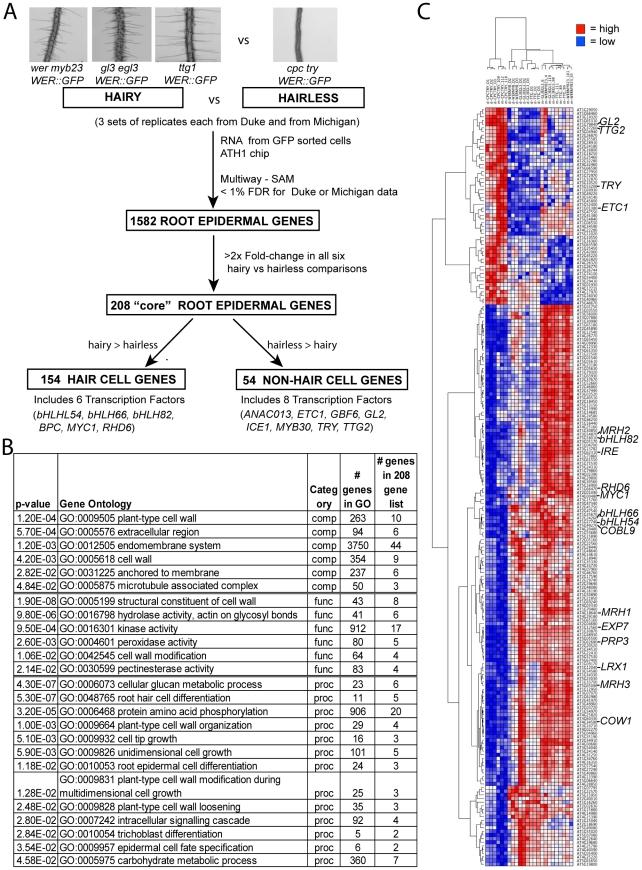https://cdn.ncbi.nlm.nih.gov/pmc/blobs/d398/3257299/9625d4939115/pgen.1002446.g002.jpg