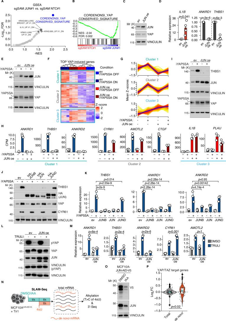 https://cdn.ncbi.nlm.nih.gov/pmc/blobs/d399/11480203/5360b8d88838/44318_2024_188_Fig2_HTML.jpg