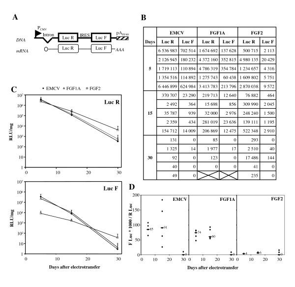 https://cdn.ncbi.nlm.nih.gov/pmc/blobs/d39a/2180170/982bbd3733b6/1472-6750-7-74-1.jpg