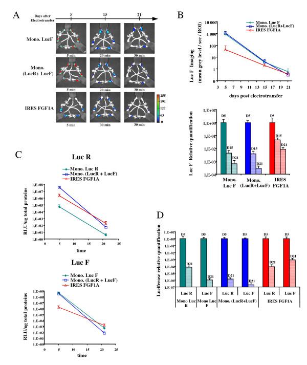 https://cdn.ncbi.nlm.nih.gov/pmc/blobs/d39a/2180170/e88705105879/1472-6750-7-74-5.jpg