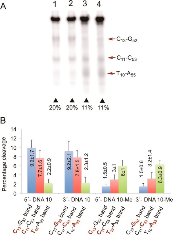 https://cdn.ncbi.nlm.nih.gov/pmc/blobs/d39a/4179586/3c220ebb9ca2/bi-2014-010848_0008.jpg