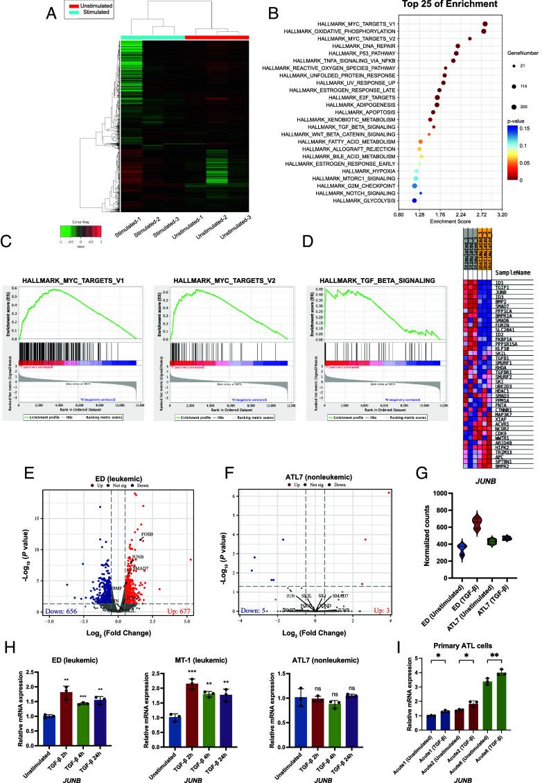 https://cdn.ncbi.nlm.nih.gov/pmc/blobs/d39d/12232710/371d7182874a/pnas.2420756122fig03.jpg