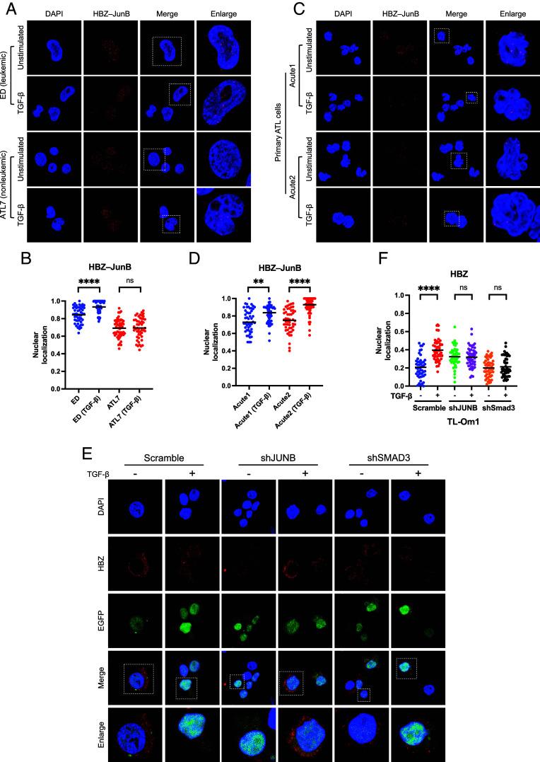 https://cdn.ncbi.nlm.nih.gov/pmc/blobs/d39d/12232710/73d985d6a7e8/pnas.2420756122fig04.jpg
