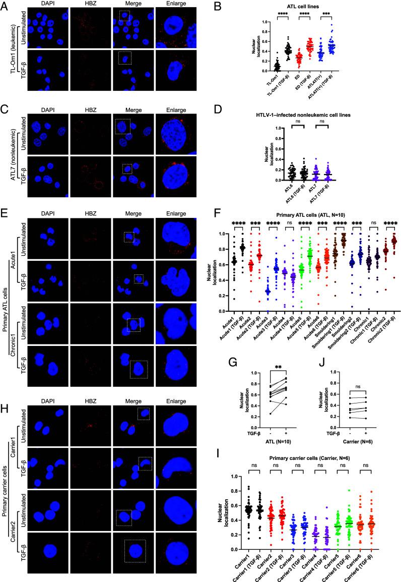 https://cdn.ncbi.nlm.nih.gov/pmc/blobs/d39d/12232710/e46c7ae1814f/pnas.2420756122fig02.jpg