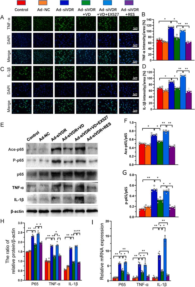https://cdn.ncbi.nlm.nih.gov/pmc/blobs/d39f/10185703/29881875e715/gr7.jpg
