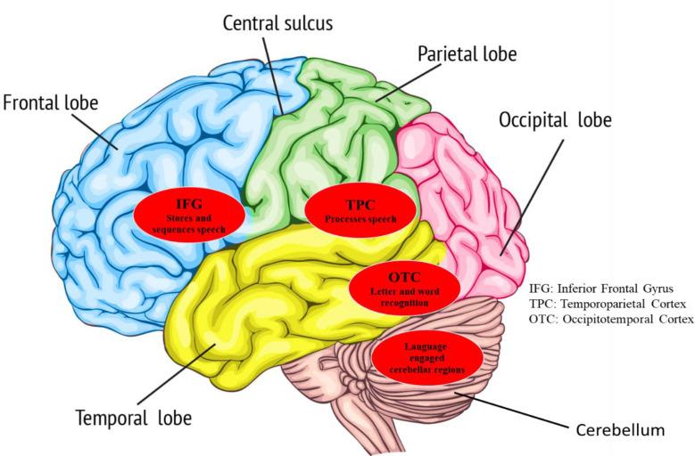 https://cdn.ncbi.nlm.nih.gov/pmc/blobs/d3a1/10593994/0697c69a6c80/IJPS-18-503-g002.jpg