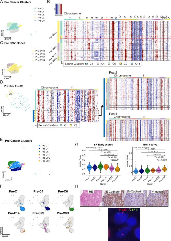 https://cdn.ncbi.nlm.nih.gov/pmc/blobs/d3a2/11450160/36c5ba17f522/41698_2024_723_Fig2_HTML.jpg